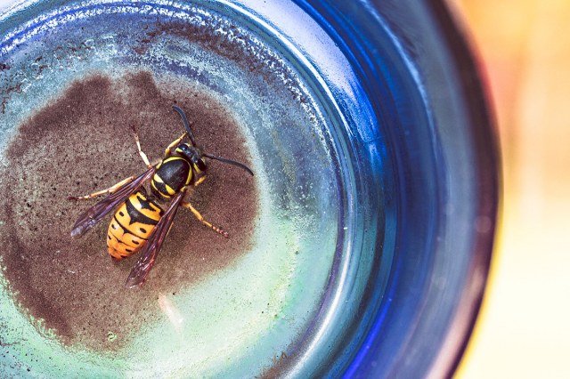 Image Not Found On Media Library