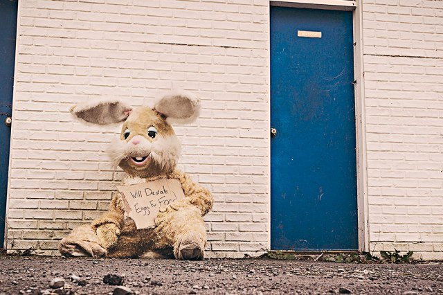 Image Not Found On Media Library