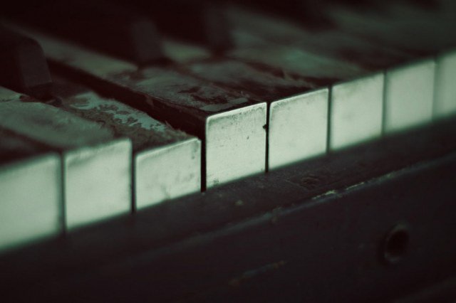 Image Not Found On Media Library