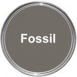 phoenix fossil 1